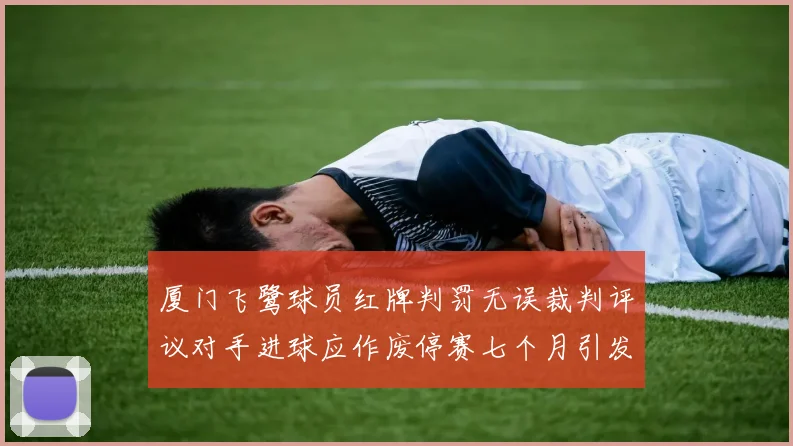 厦门飞鹭球员红牌判罚无误裁判评议对手进球应作废停赛七个月引发热议