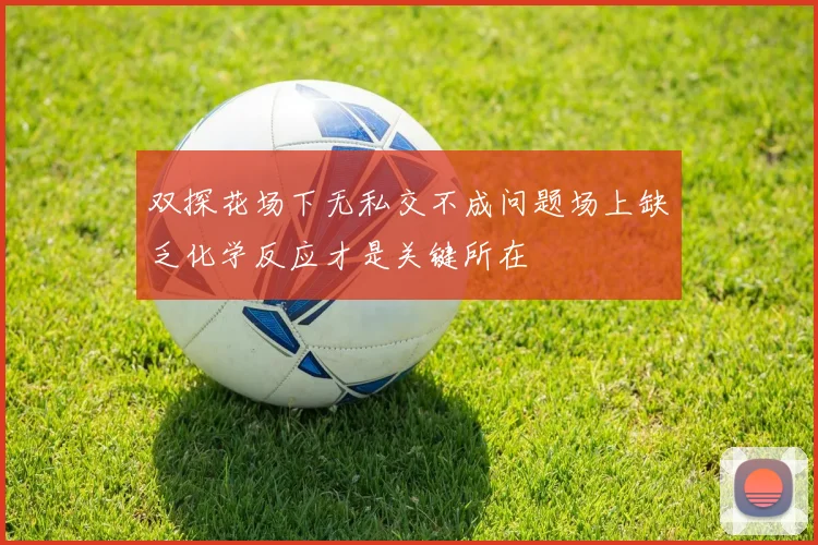双探花场下无私交不成问题场上缺乏化学反应才是关键所在